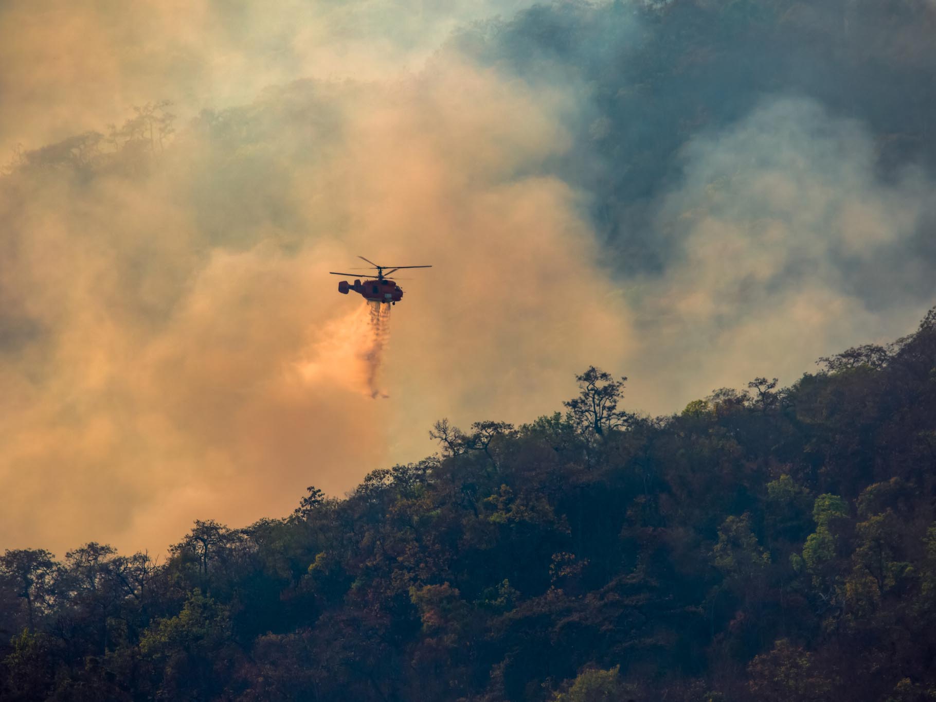 South Korea wildfire claims to ‘pour in’, Japan to see minimum insured losses